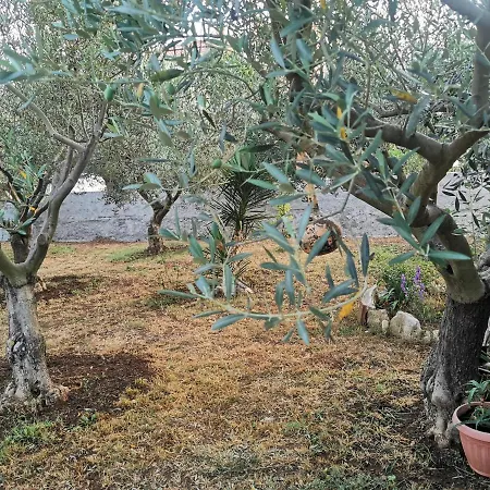 Labura Privlaka (Zadar)